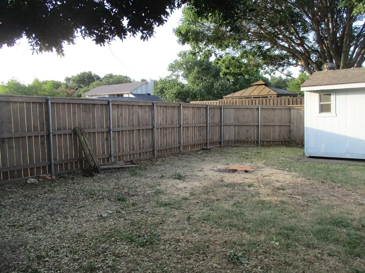 Cleared yard after professional tree removal in Burtonsville